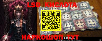 ALPHA PVP Канаш