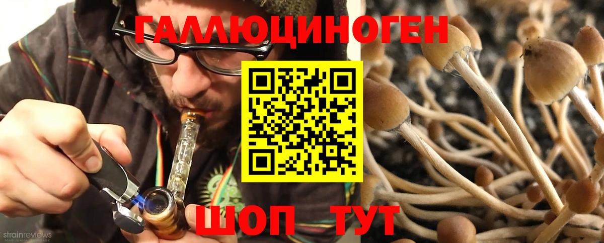 Псилоцибиновые грибы мухоморы Фролово