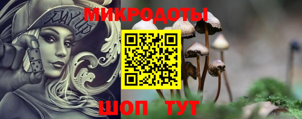 Фролово  Галлюциногенные грибы MAGIC MUSHROOMS  Вход с VPN 